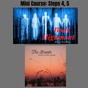 Mini Course Steps 4-5