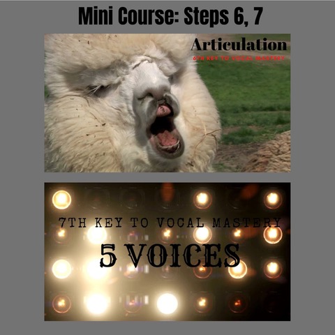 Mini Course Steps 6-7