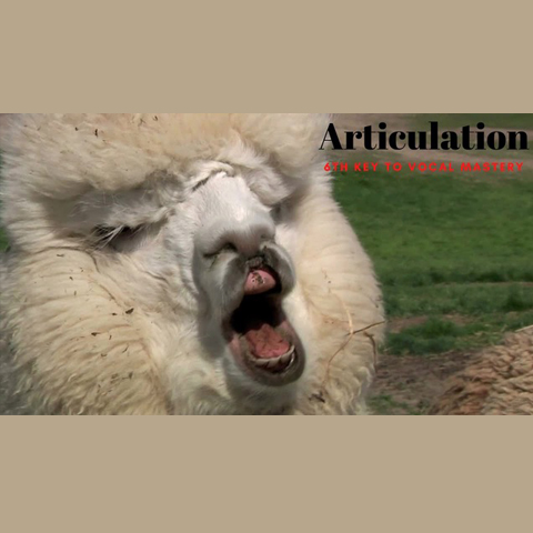 Articulation